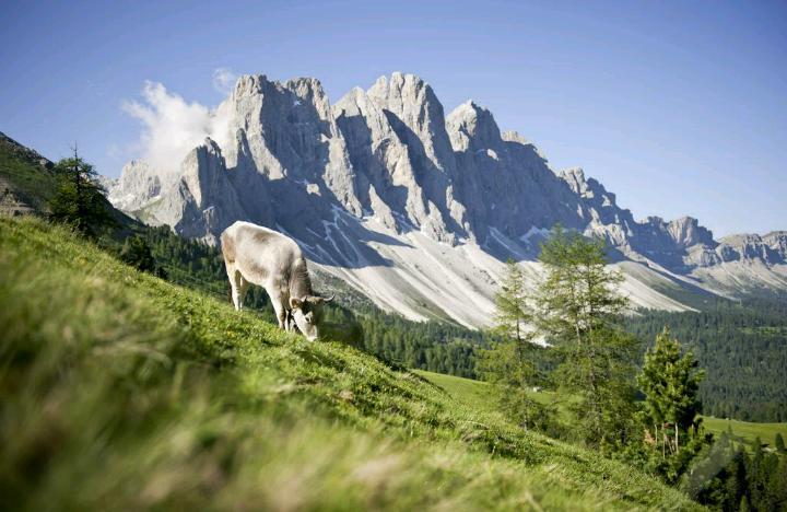 Apartmán Jaiterhof Funes  Exteriér fotografie